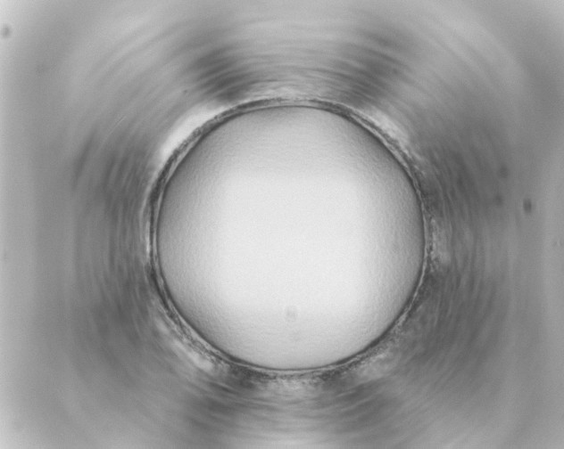 X0000088881078200706221809