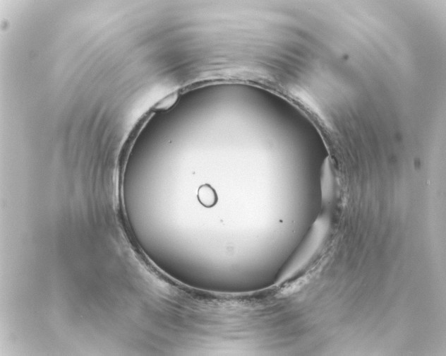 X0000088881079200706221809