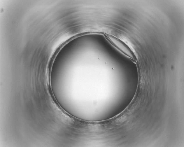 X0000088881080200706221809