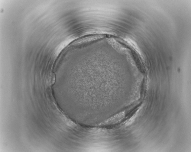 X0000088881081200706221809