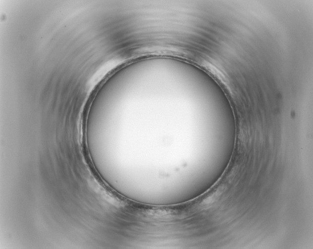 X0000088881082200706221808