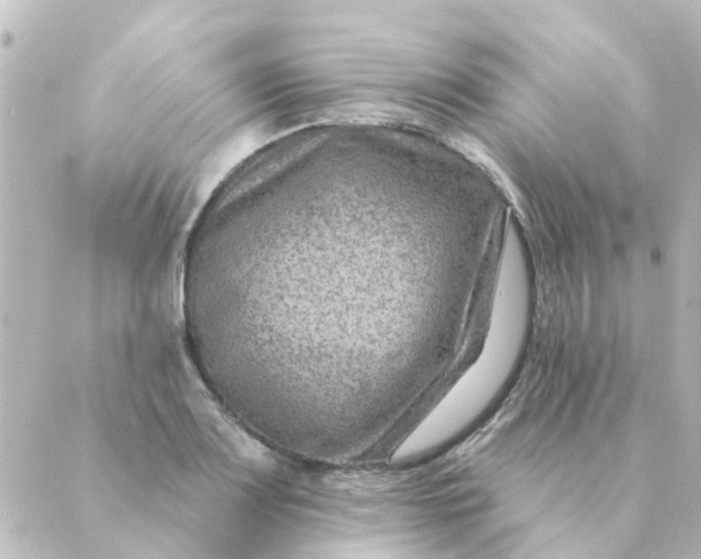 X0000088881083200706221808