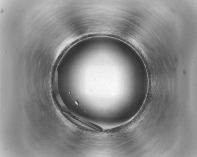 X0000088881085200706221808