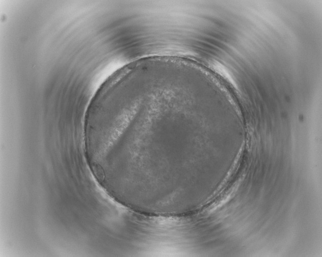 X0000088881087200706221808