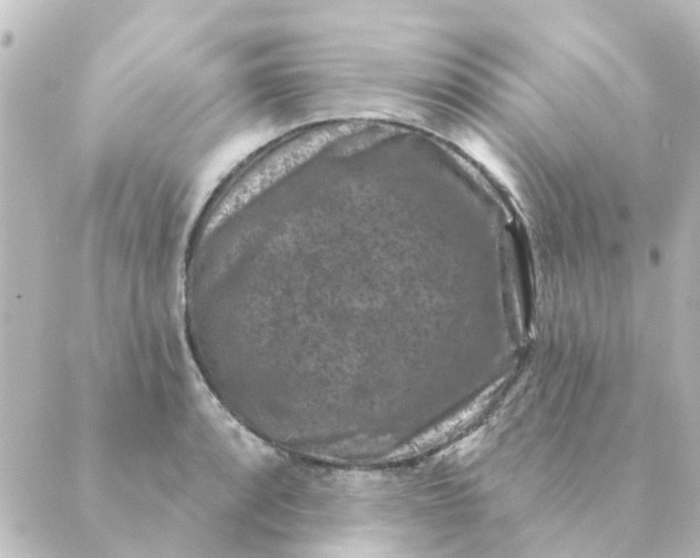 X0000088881088200706221808