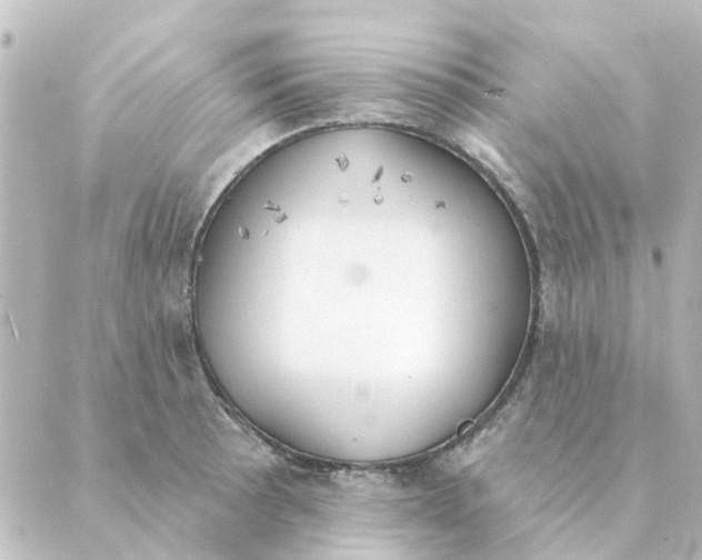 X0000088881089200706221808