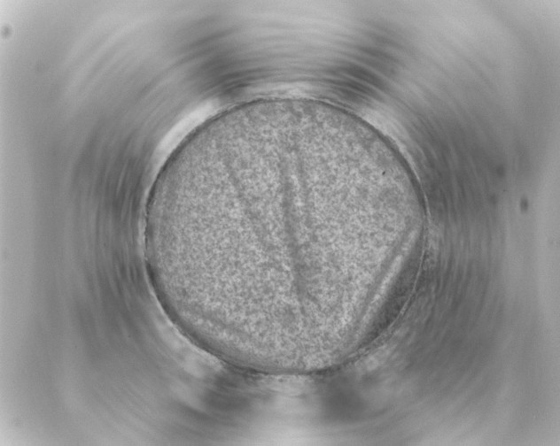 X0000088881090200706221808