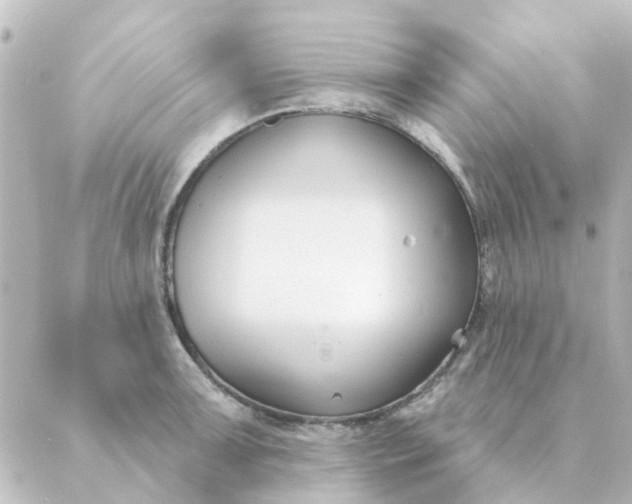 X0000088881091200706221808