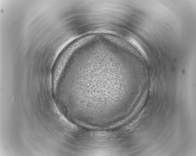 X0000088881092200706221808