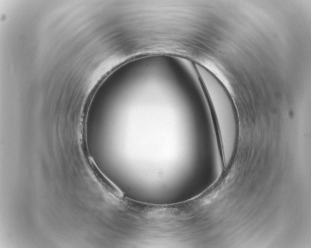 X0000088881093200706221808