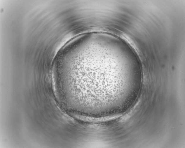 X0000088881097200706221808