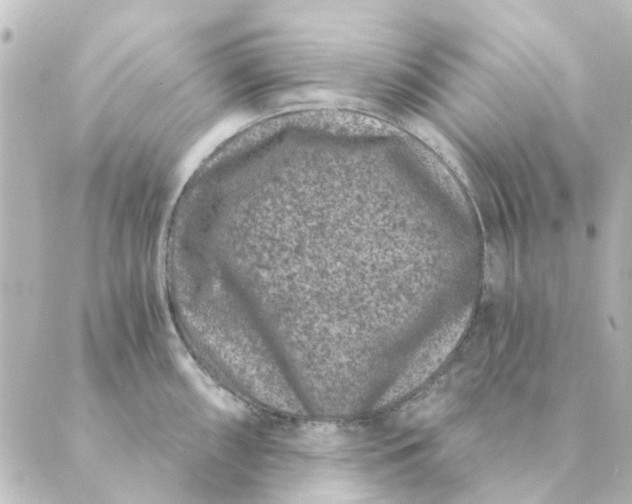 X0000088881098200706221808