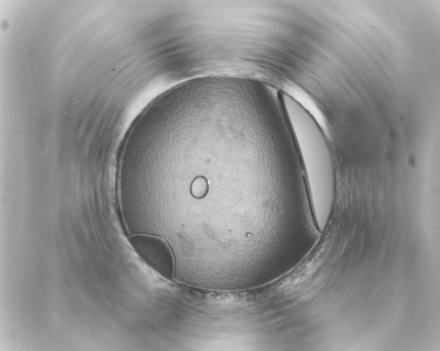 X0000088881099200706221808