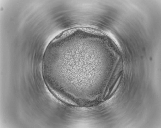 X0000088881100200706221808