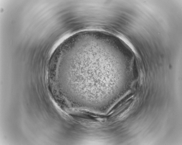 X0000088881101200706221808