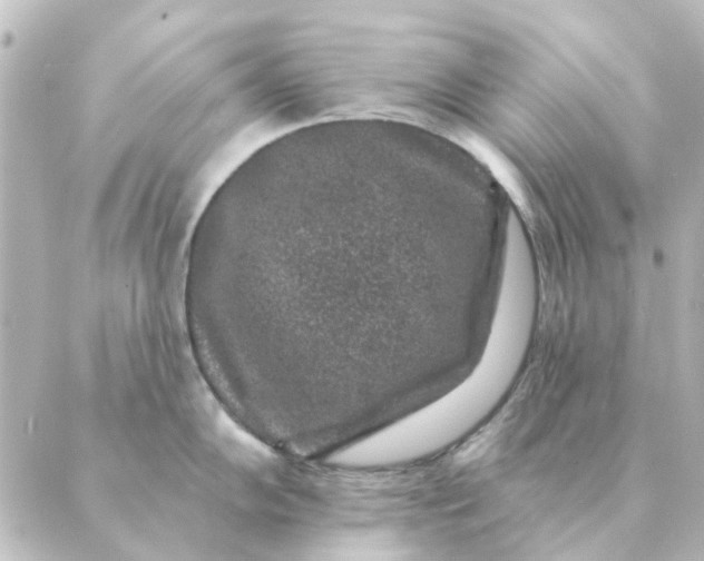 X0000088881102200706221808