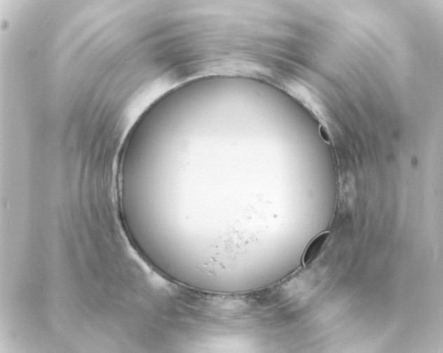 X0000088881103200706221808