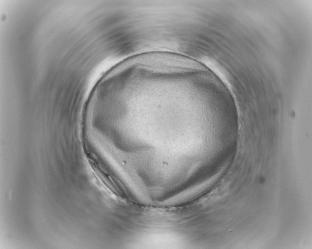 X0000088881104200706221808