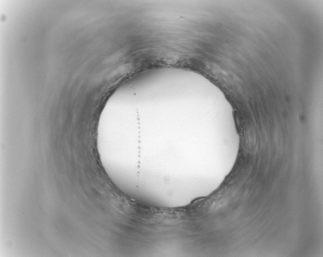 X0000088881105200706221807