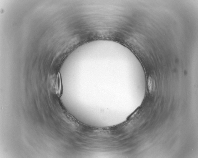 X0000088881107200706221807