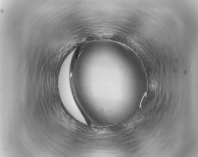 X0000088881108200706221807