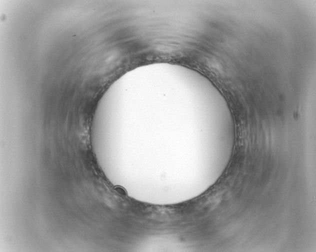 X0000088881109200706221807