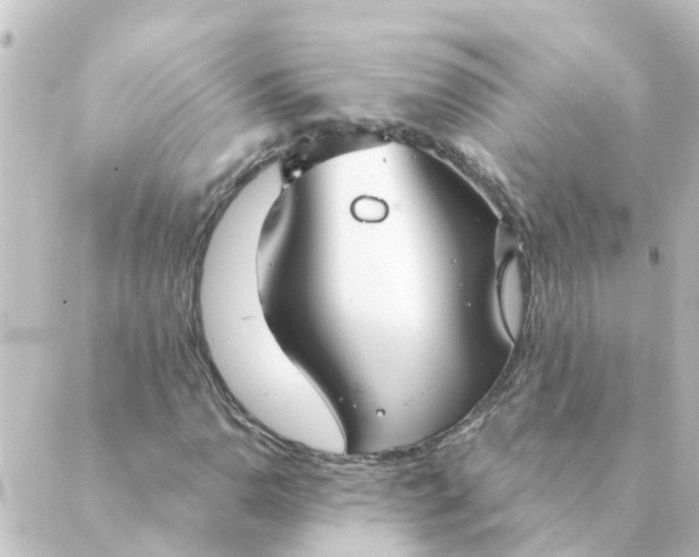 X0000088881110200706221807