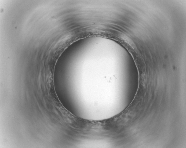 X0000088881111200706221807