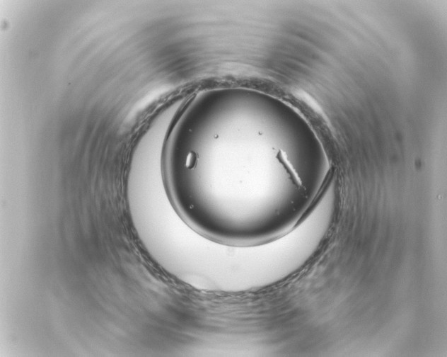 X0000088881112200706221807