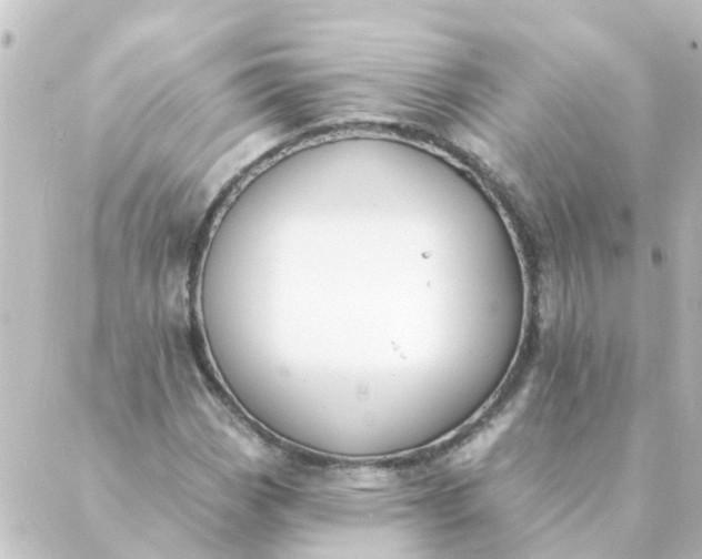 X0000088881113200706221807