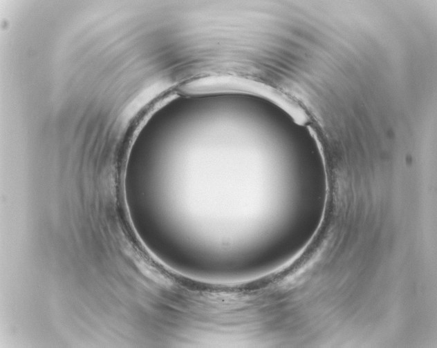 X0000088881114200706221808