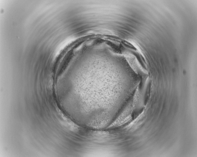 X0000088881115200706221808