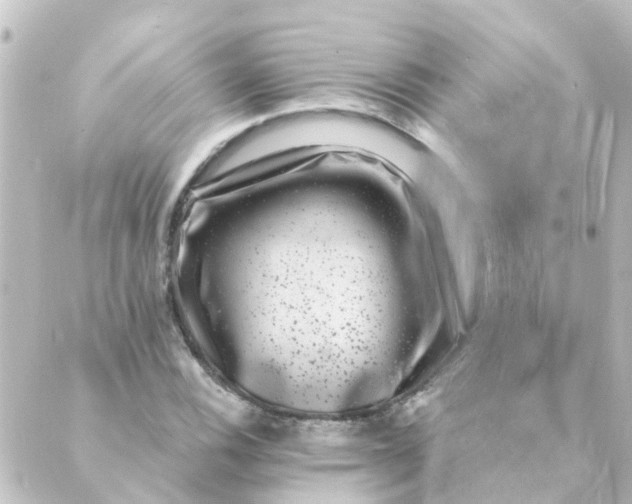 X0000088881116200706221808