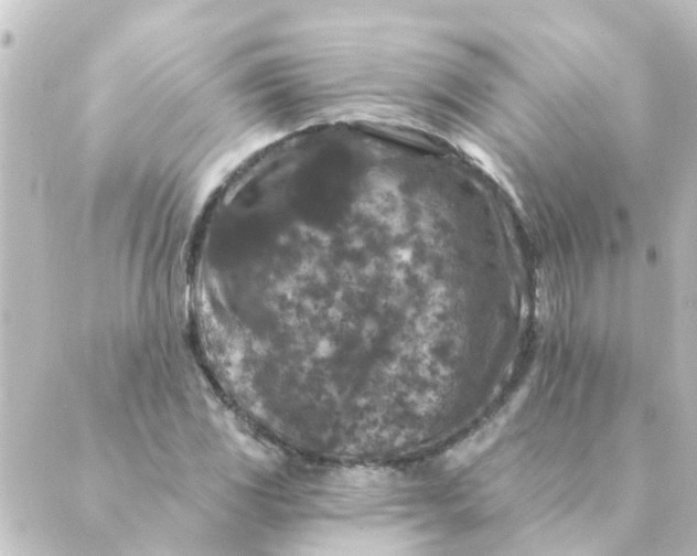 X0000088881117200706221808