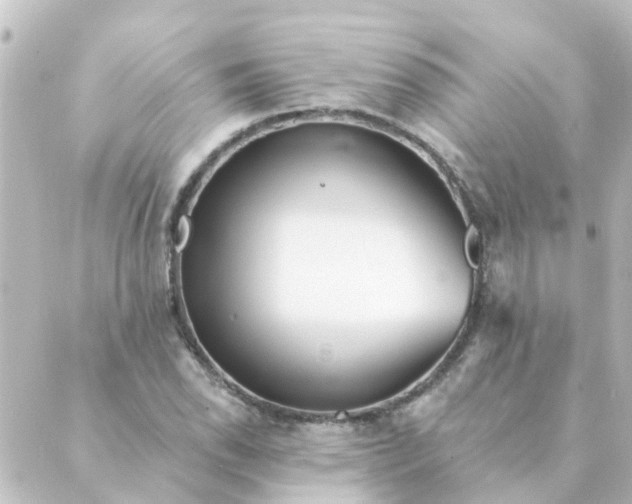 X0000088881118200706221808