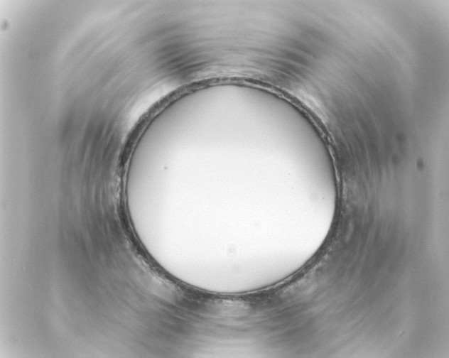 X0000088881119200706221808