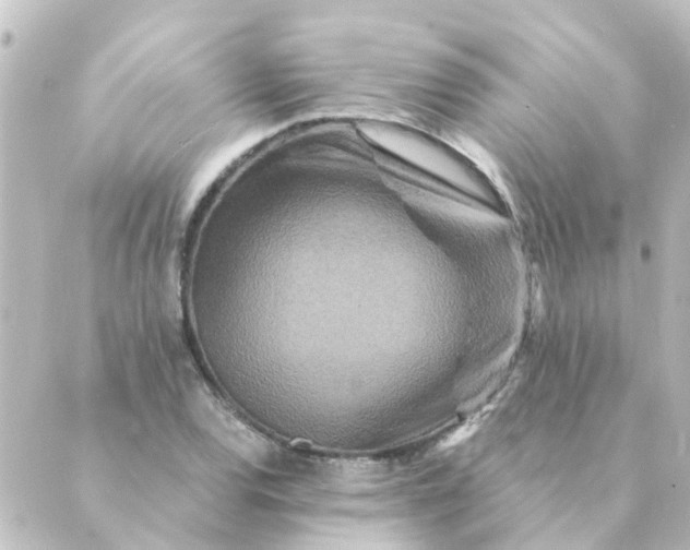 X0000088881120200706221808