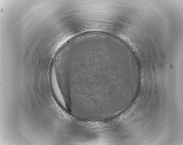 X0000088881121200706221808