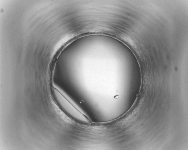 X0000088881122200706221808