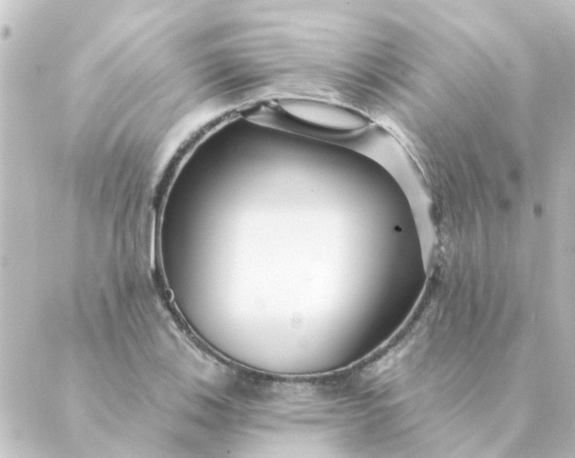 X0000088881123200706221808