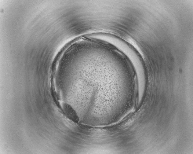 X0000088881124200706221808