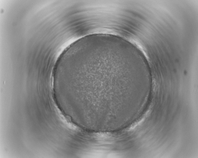 X0000088881125200706221808