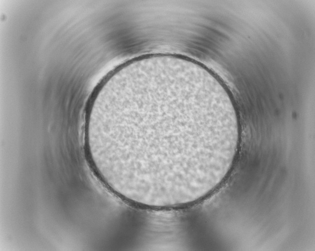 X0000088881126200706221808