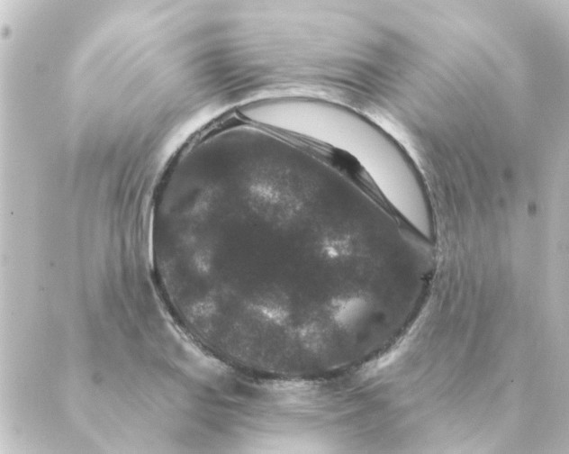 X0000088881127200706221808