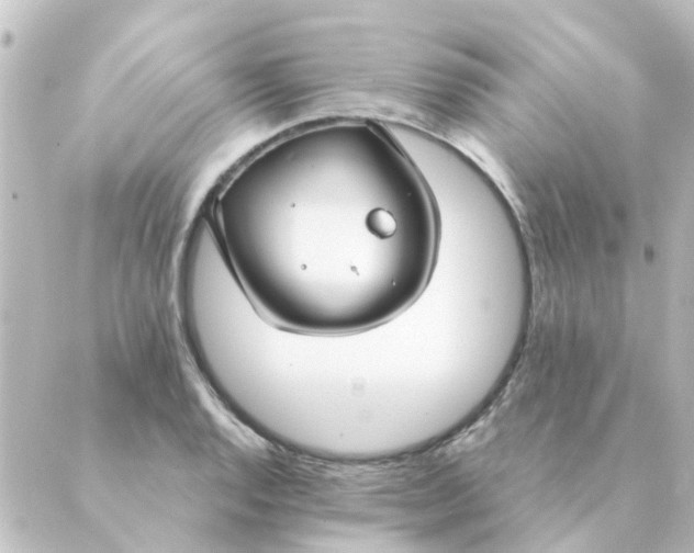 X0000088881128200706221808