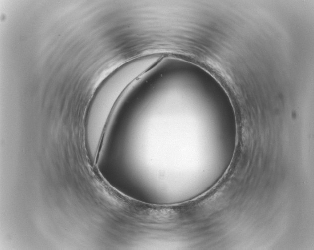 X0000088881129200706221808