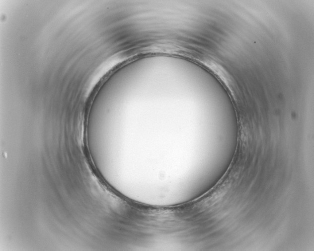 X0000088881131200706221808