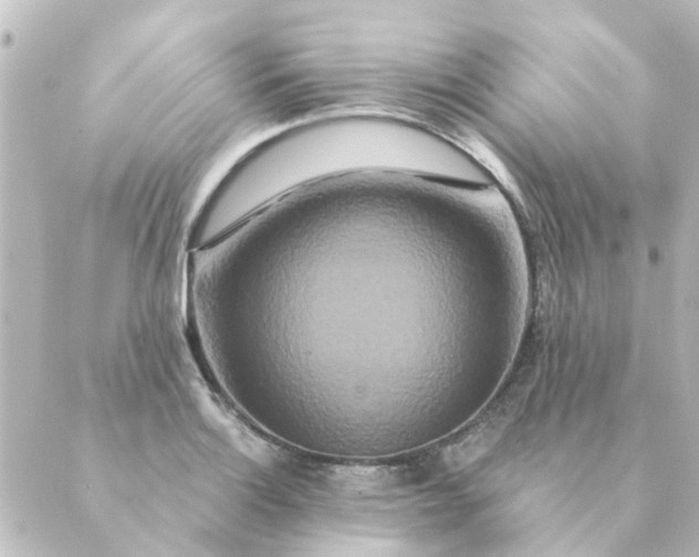 X0000088881132200706221808