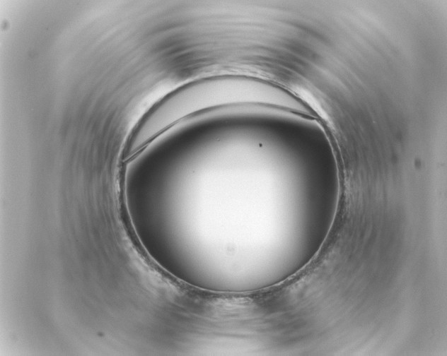 X0000088881133200706221808