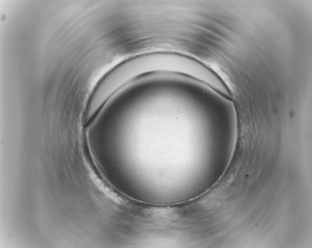 X0000088881134200706221808